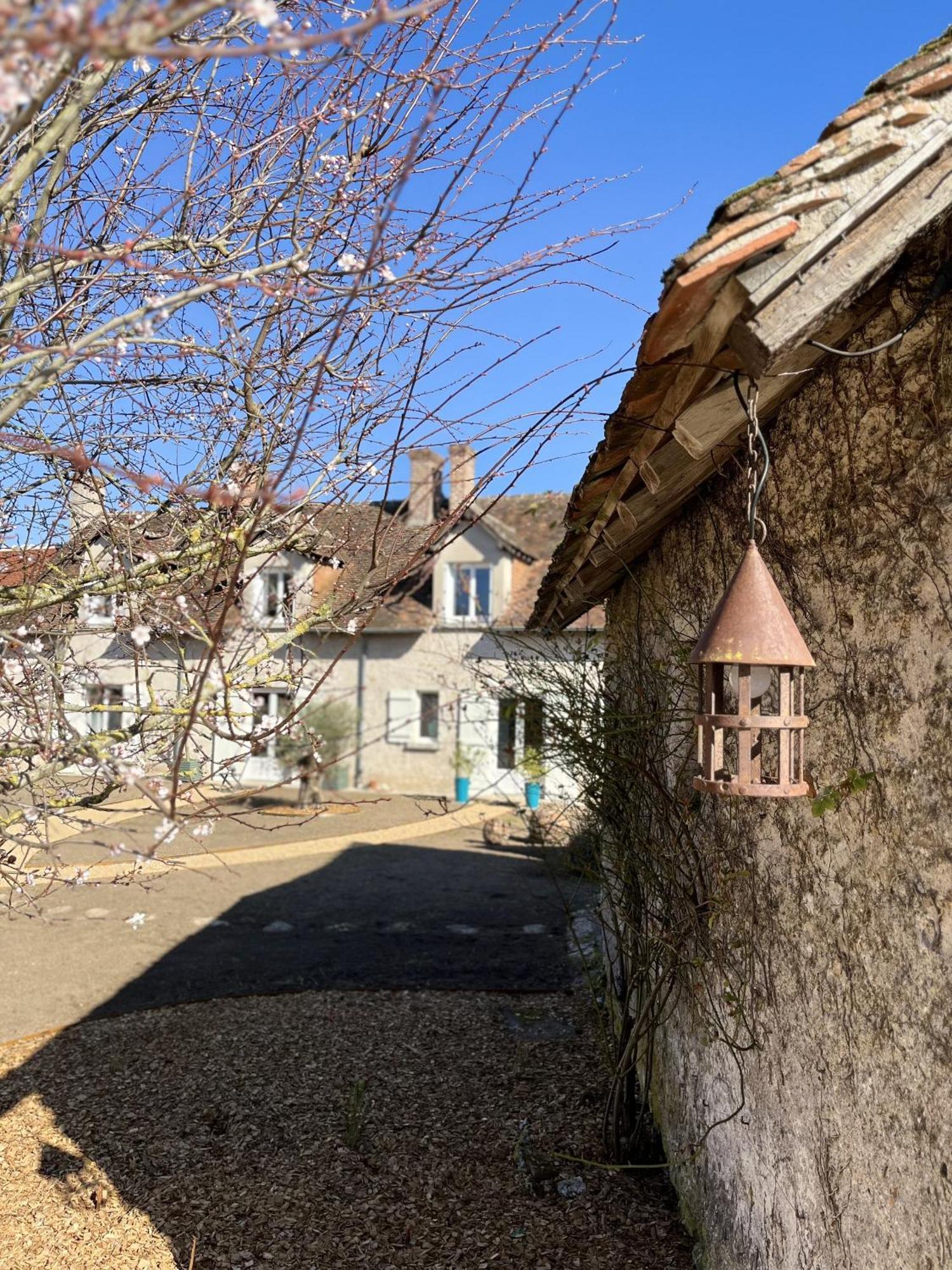Bed and Breakfast Nuits De Loire -Entre Blois Et Chambord Vineuil  Zimmer foto